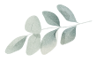 https://wedding-aidan-sandrine.com/wp-content/uploads/2025/06/leaf.png