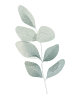 https://wedding-aidan-sandrine.com/wp-content/uploads/2025/06/leaf2.png