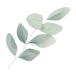 https://wedding-aidan-sandrine.com/wp-content/uploads/2025/06/leaf3.png
