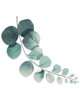 https://wedding-aidan-sandrine.com/wp-content/uploads/2025/06/leaf_bottom.png