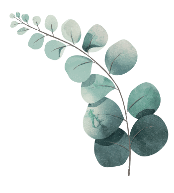 https://wedding-aidan-sandrine.com/wp-content/uploads/2025/06/leaf_top_OK.png