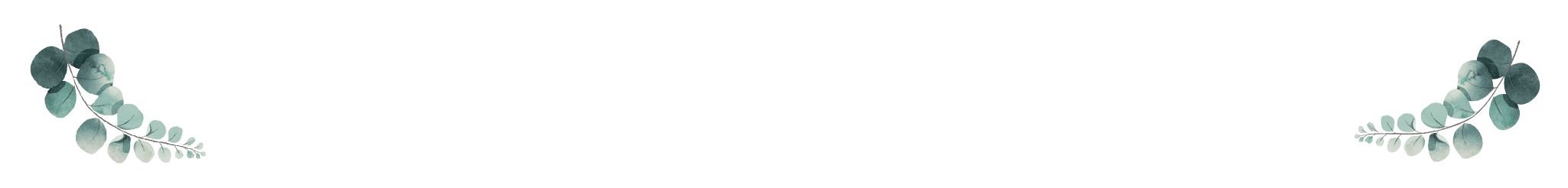 https://wedding-aidan-sandrine.com/wp-content/uploads/2025/06/mega_leaf_bottom_OK-1.png